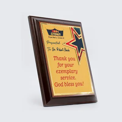 A4 Rectangular Award